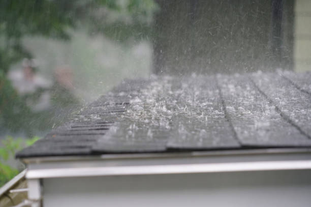 Best Sheet Metal Roofing  in Weston, MO