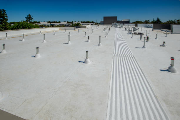 Best Roof Maintenance and Cleaning  in Weston, MO